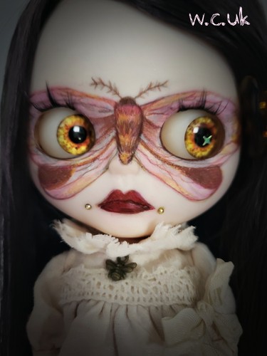 Falena ragazza blythe - ragazza,