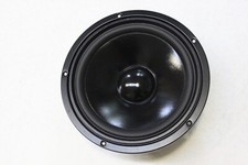 WOOFER singolo Visaton W250S 25 cm diametro 8 OHM, 130 WATT