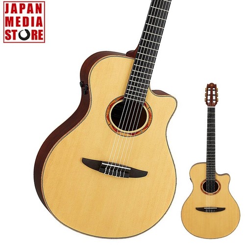 Chitarra acustica elettrica