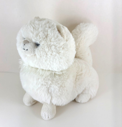 Peluche gatto persiano
