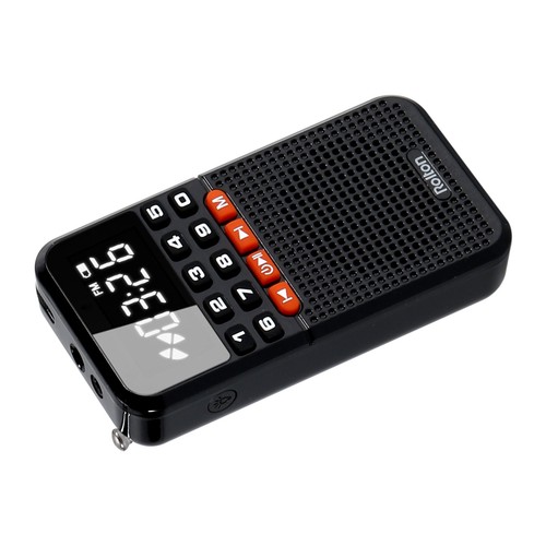 Radio portatile doppia - fm,