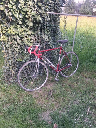 Bici corsa vintage colnago - vintage,
