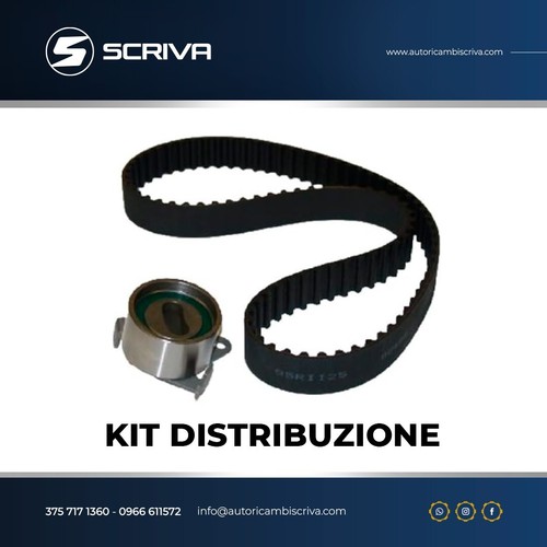 Kit distribuzione piaggio - distribuzione,