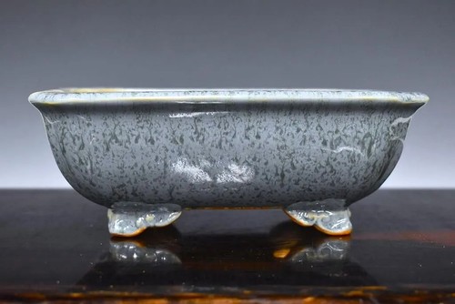 Vaso per bonsai - , tokoname