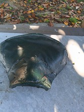 sella vintage verde militare x moto guzzi