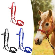 Briglia per cavalli con
