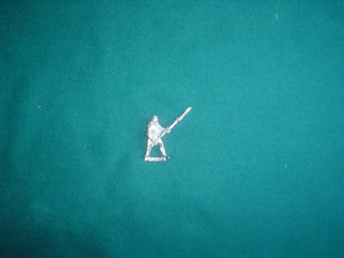 Wood elf spearmen - wood,