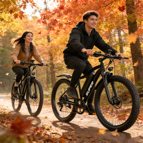 Bicicletta elettrica 2026 - , 26