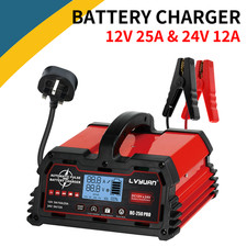 Caricabatterie 25A,12V/24V