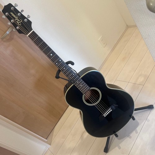 Takamine 105 chitarra - takamine, pt-105