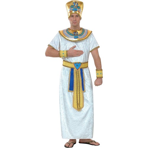 Costume carnevale - costume,