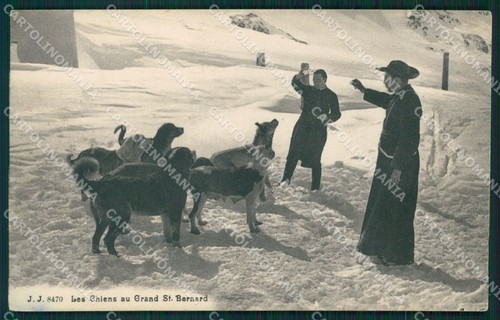 Aosta cani del - del, gran