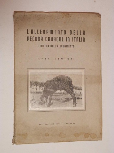Allevamento della pecora - l',