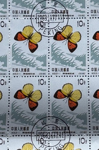 Prc 1963 s295 farfalla - -,