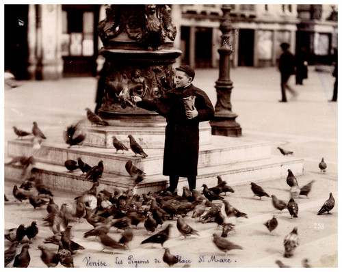 Italia venezia piazza san - piazza,