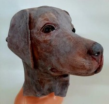 Maschera lattice alta qualità Labrador marrone