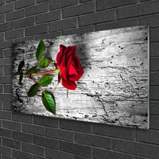Acrylic print Wall art 100x50