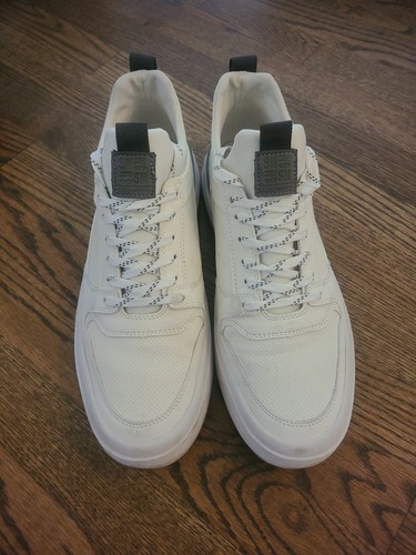 Sneakers uomo steve madden - uomo,