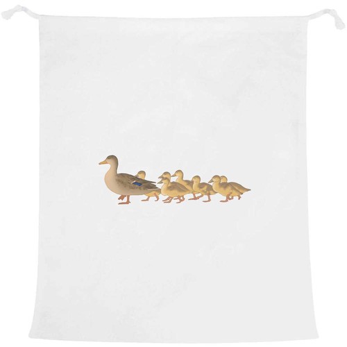 Duck family following - 'duck, following'