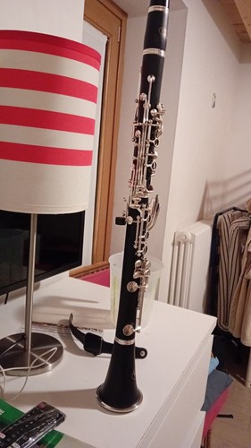 Strumenti musicali fiato - musicali, a
