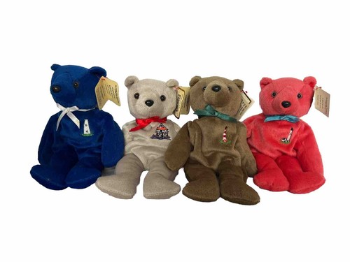 Lotto the coastal cubs - the,