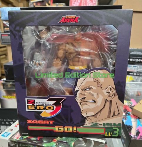 Storm arena street fighter - storm,