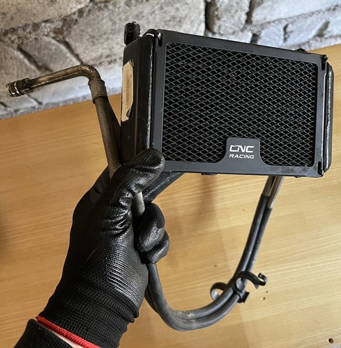 Radiatore olio ducati - radiatore,
