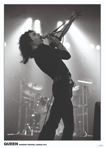 Poster queen freddie mercury - poster,