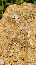Minerale quarzo ialino punte - minerale@,
