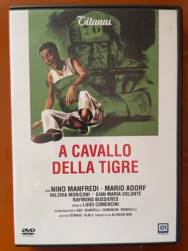 Cavallo della tigre nino - a,