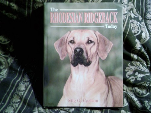 The rhodesian ridgeback - rhodesian,
