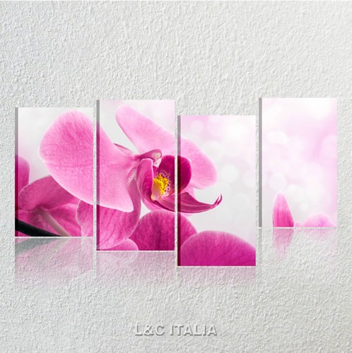 Orchidea rosa quadro tela - orchidea,