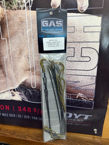 Corde arco gas hoyt - corde, alpha
