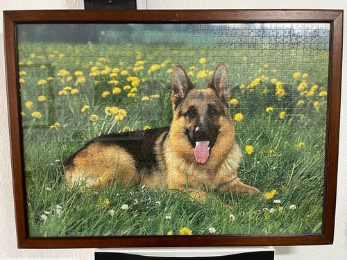 Quadro puzzle con - , cane