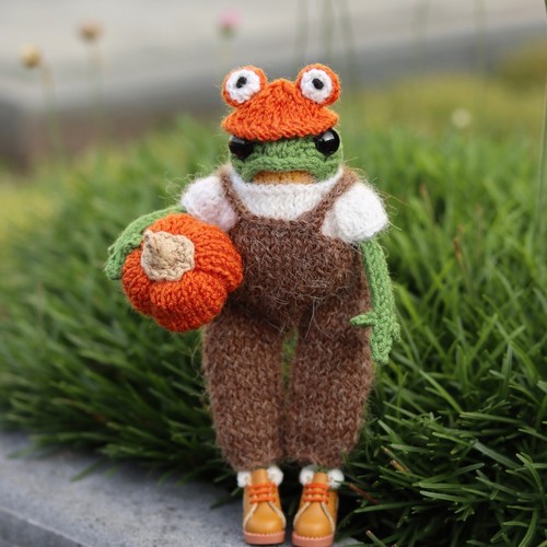 Little frog wardrobe outfit - little,
