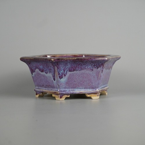 Vaso bonsai giapponese fukuda - bonsai,
