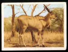 Tobacco Card, UTC, OUR SOUTH