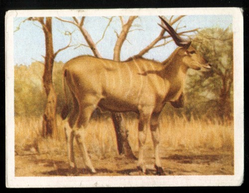 Tobacco card utc our - our, south