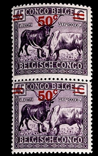 Africa native bull horn - native,