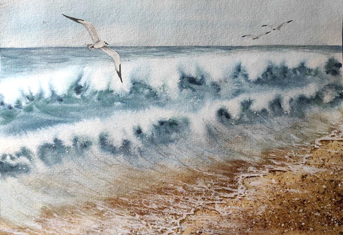 Birds seagull waves - waves, opera