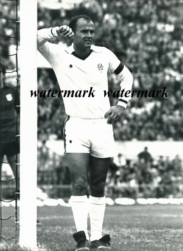 Bella foto originale - ,, mario