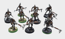 Kroot Carnivore Squad