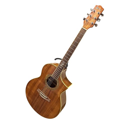 Chitarra elettroacustica