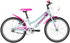 Bici Bicicletta Mountabike da