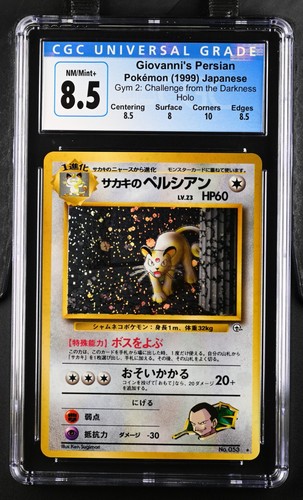 Pokemon palestra persiana - persiana, di