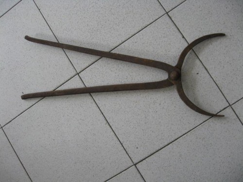 Tenaglia pinza curva - tenaglia,