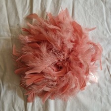 Acconciatura in piume di struzzo rosa