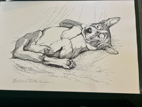 Basenji stampa cucciolo che - stampa,