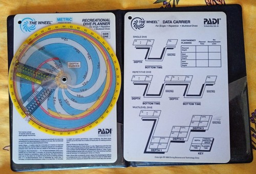 Rdp padi the wheel - padi, "the