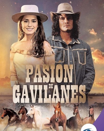 Pasion gavilanes novela - "pasion, de